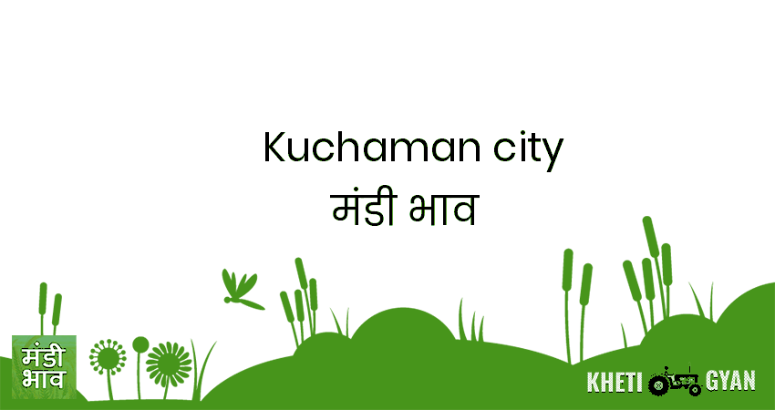 Kuchaman City मंडी भाव की ताज़ा तस्वीर